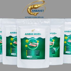 ANBIO MUD + (  TCCS 05:2025/ANBAVET)