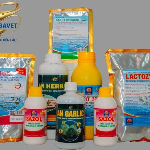 DÒNG SẢN PHẨM CỦA SANDO